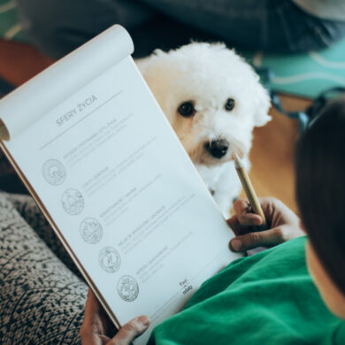 Sfery życia. Warsztaty rozwojowe. Piesek