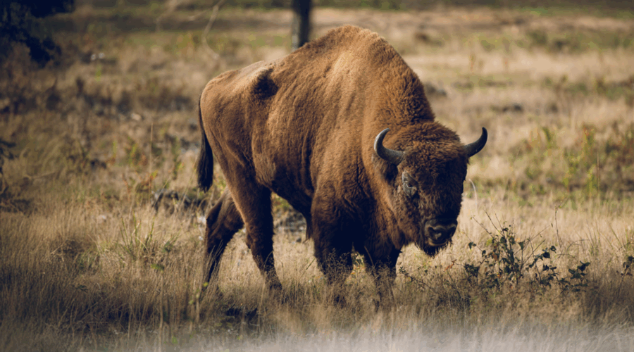 Zrzut ekranu 2025-12-17 o 14.06.29